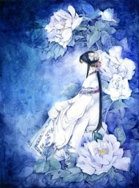 護花之最狂學生